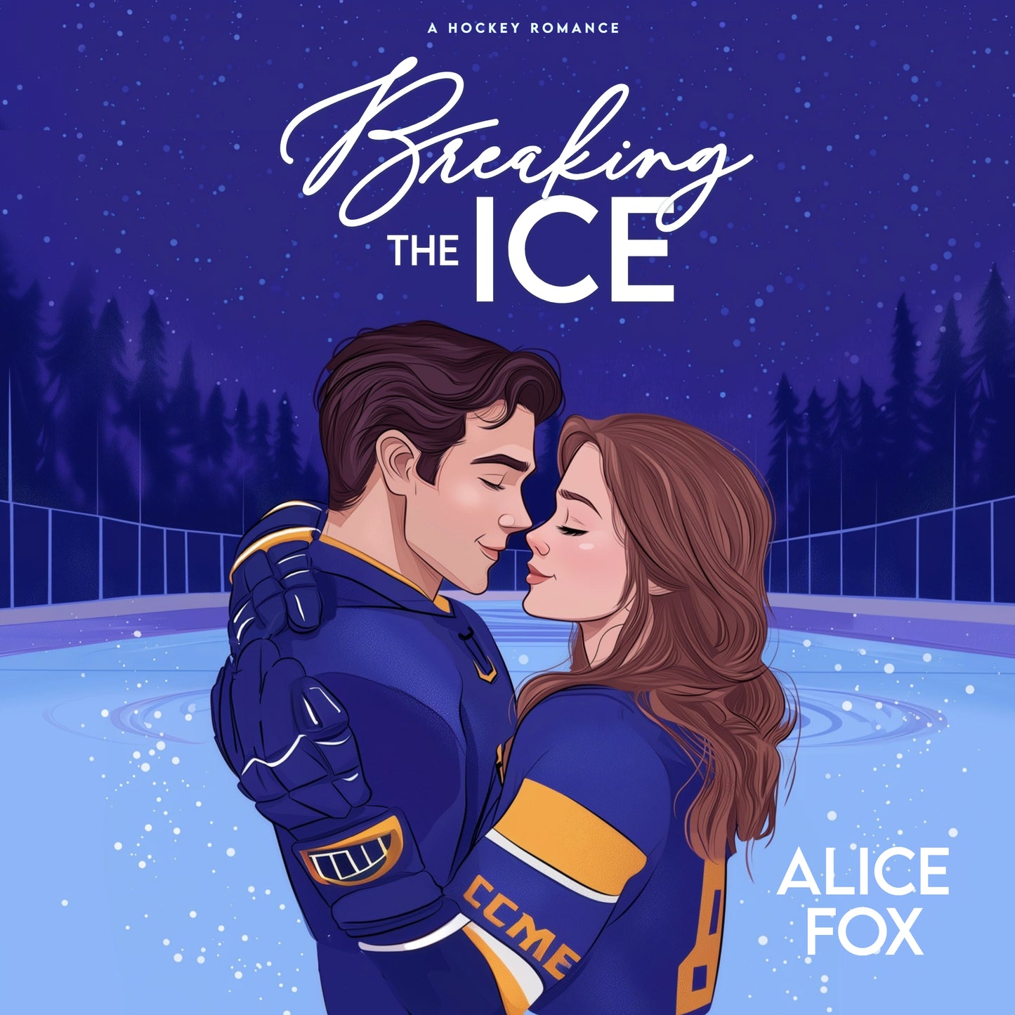 Breaking The Ice: A Hockey Romance
